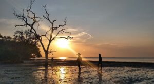 Pantai Tambak Sari Probolinggo